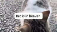 bro is in heaven