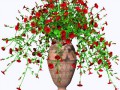 potted_petunia_red02_by_brokenwing3dstock-d733bco
