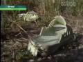 Нападение бродячих собак в Крыму