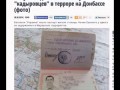 Новый вброс - "паспорт кадыровца"