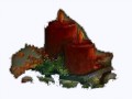 _12_1_arnusha