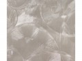 -rasch-671124