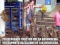 oNvSJKwR7CM