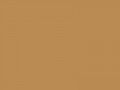 Светлый желто-коричневый	#BB8B54	187	139	84