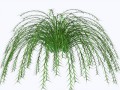 fern_accent_no_pot_base_by_madetobeuniqued485c04_yapfiles.ru_yapfiles.ru