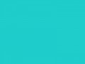 Синий цвета яиц странствующего дрозда	#1FCECB	31	206	203