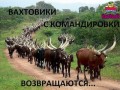 image (6)