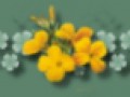 6_5