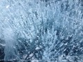 мой 32