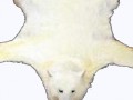whitebearrug1