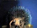 2b123361ef6da757e8669d9e8bcb6075