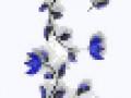 1_3_arnusha