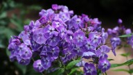 IMG_9694 копия