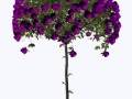 0_70b45_38832473_XL.1png