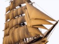 pngwing.com (37)