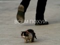 Nobody_cares