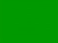 Мусульманский зеленый	#009900	0	153	0