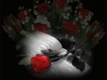 1_arnusha