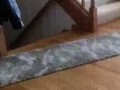 нападение!