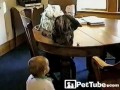 Кот и малыш играют в бумажный мяч