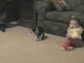 Dogs Being Jerks To Kids: Compilation