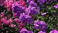 IMG_0018 копия