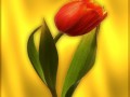 Коллаж Анимация от tane4ki 777 "Золотой цветок"