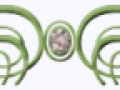 73