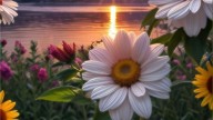 ,АХ,ЛЕТО_01