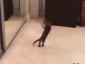 - Эй, Ты! Выходи драться!