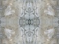 cem_big01