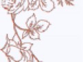 fon_5_4_arnusha