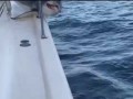 Huge mako shark jumps onto fishing boat
