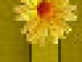 7_4