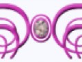81