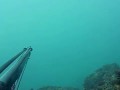 Подводная охота