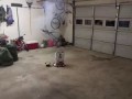 Firework Fail - Idiots light Mortar Shell in Garag