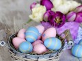 Holidays_Easter_Tulips_477273