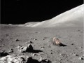 собака роется на луне