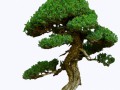 {73EA387D-03ED-4355-D188-523383E1A7ED}