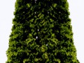 2221