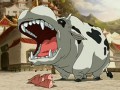 cow