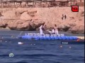 сербский турист убил акулу