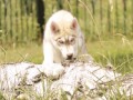 Тэй_7