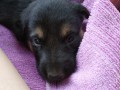 IMG_20160716_175303