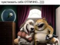 79a1d5a4bca9ca51037eda81d8eeb80a