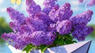 a5b31947eb4cc1a9763fad6c1af0b4e5_cr
