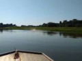 Амазонские дельфины «поиграли в футбол» электрическим угрем на реке в Бразилии