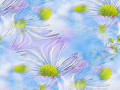 0_10c500_aea1ff63_M