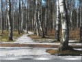 ВЕРХ
